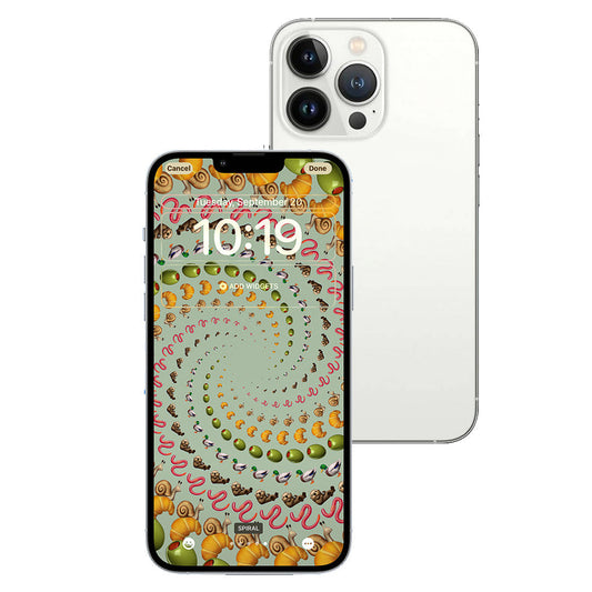 iPhone 13 Pro Max 256GB